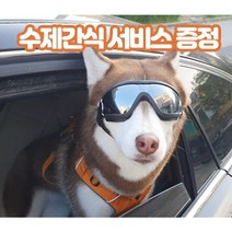 강아지 선글라스 애견 고글 도글라스 멍글라스 개글라스 소형견 중형견 대형견 반려견 UV차단 안경, 중.대형견용, 실버미러