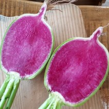 수박무 겉과속의 반전 수박무 과일무 (정품) 무청제거, 1개, 수박무 5kg