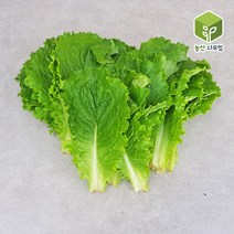 청상추(특) 4kg, 단품