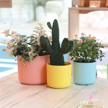 플라팜 샤베트화분 4호 바나나 27개입 미니화분 화분 인테리어화분 다육화분 화분쇼핑몰