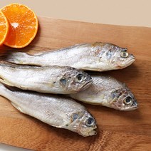 맛있는 국내산 자연산 제주 참조기 1kg+1kg(50미) 밥반찬 밥도둑