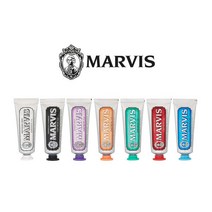 MARVIS 이탈리아 마비스 치약 미니 25ml, 클래식 25ml(초록), 없음