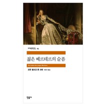 민음사 세계문학 동물농장/설국/싯다르타/고도를기다리며/연인/이반데니소비치수용소의하루/햄릿/젊은베르테르의슬픔/체호프단편선/로미오와줄리엣/브람스를좋아하세요/카타리나블룸의잃어버, 젊은 베르테르의 슬픔(민음사)