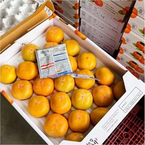 청도 반시 씨없는감 5kg M 31-35과 내외 청도반시 청도홍시, 단품