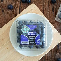 과일예찬 고당도 칠레 생 블루베리 125gx8팩(1kg/14mm내외), 상세 설명 참조