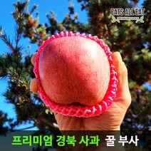 이츠올릿 청송 꿀 부사 사과 못난이 5kg 중과16-18과 경북 안동 문경 밀양 장수 밀양 얼음골 못난이