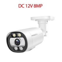 CCTV 보안 카메라 내집 지킴이MISECU-H.265 리얼 4K Ai 스마트 POE 카메라 5MP 8MP 양방향 오디오 인간 감, 03 DC 12V AI 8MP Cam