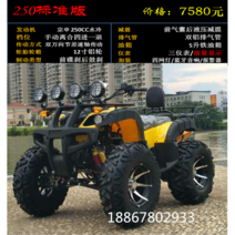 atv 축전동 대소 비치카 4륜 오프로드 모터사이클 전지형 4구동 대형 산악 가솔린 스포츠카, 빅 불스 250 스탠더드 에디션
