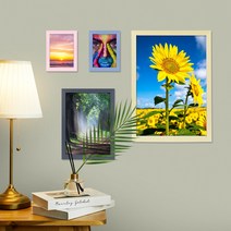닥터프레임 액자 사진액자 인테리어액자 상장액자 3x5 4x6 5x7 6x8 8x10 10x15 11x14 A4 A3 b4 b5 8절지 16절지 액자 외 벽걸이 탁상 전사이즈, 레몬