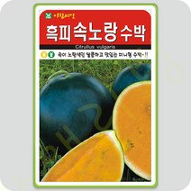 흑피 노랑 수박 씨앗 5립 수박씨앗