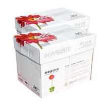 복사지 2BOX 5000매 80g A4용지 A4 하이브라이트 384600EA, 쿠팡@ 본상품선택
