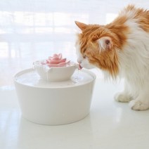 펫 세라믹 고양이 정수기 자동 급수기 - 연잎, 본품