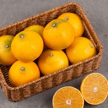 새콤달콤 감귤 하우스 감귤 2kg, 1개