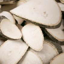 블리스마트 국산 엄나무 음나무 600g, 1개