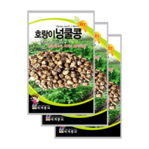 호랑이 넝쿨콩 30g 울타리콩 3봉, 3