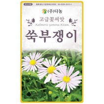 딱지꽃 1.5g - 야생화 씨앗 꽃씨 씨 꽃씨앗 딱지꽃씨앗 딱지꽃씨 다년생꽃씨 여러해살이 야생화씨 야생화씨앗 꽃 위릉채 동녹풀, 32_다농_쑥부쟁이(1.5g)