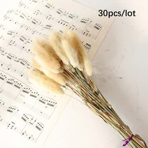 팜파스 억새풀 핑크뮬리 대형 그라스 갈대 인테리어소품 조화 꽃 귀리 다발의 30pcs 귀 작은 무리 잔디 장식품 자연 말린 인공 식물 홈 장식 143, 원색