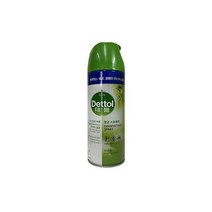 데톨 항균스프레이 모닝듀 450ml 322498 J, 1개