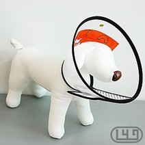 토이푸들 개목카라 편한 강아지꼬깔 잭러셀테리어 훈련 착용감 싼 S, 1개