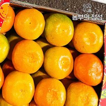 농부의정성 제주 하우스귤 선물용 로얄대과 5kg