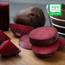 브랜드없음 무농약 무안 레드 비트 즙용 2kg, 단품없음
