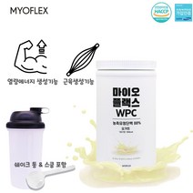 마이오 유청 단백질 분말 가루 WPC 단백질 보충제 프로틴 파우더 BCAA 류신 근육 효능 쉐이크 브로멜라인 6종 비타민 요거트 맛, 2개, 500g