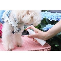 강아지 고양이(애완동물) 피부병 진드기 해충방지 일본 아오모리 히바유 히바오일 히바정유 히노키유 - 히바오일(15ml)+스프레이+아로마테라피 세트, 10