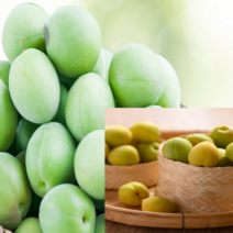 매실 레몬 파인애플 자몽 복숭아홍차 복분자 망고 유자 농축액, 자몽농축액 1L 2개