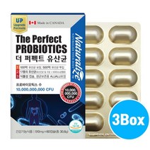 4세대 포스트바이오틱스 유산균 L2B1 유산균 모유유산균 프롤린 500억 신 프리 프로바이오틱스 유산균배양건조물 락토바실러스 가세리 루테리유산균 소화효소 효능 식물성캡슐, Isu_sud3