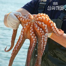 삼삼해물 돌문어1kg, 단품