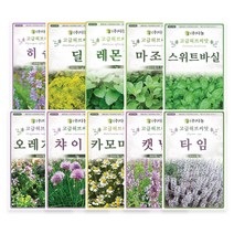 [모종가게] 허브씨앗 / 씨앗 모음 딜 히솝 바질 스위트바질, 카모마일씨앗