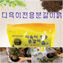 다육이 흙 선인장 분갈이 화분흙 스투키 식물 원예용