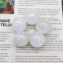 25MM 천연석 볼 힐링 크리스탈 공 홈 인테리어 레이키 위카 차크라 보석 구 바위, 2PCS, White Crystal