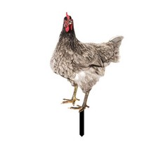 야외 정원 인형 조각품 조경 모아이 장식품 돌하르방 조형물 소품 아크릴 수탉 동상 양면 인쇄 조각 닭 장, 07 -7