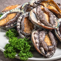 [농부마음] [산지직송] 진도 활전복 특 1kg 9-10미, 상세 설명 참조, 상세 설명 참조