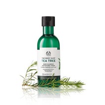 더바디샵 티트리 스킨 클리어링 매티파잉 토너 250ml