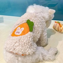 멍데이 당근 강아지플리스