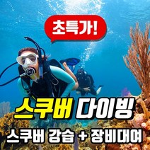 [50%이벤트] PADI 오픈워터 스쿠버다이빙 자격증, 1인 등록시(이러닝)