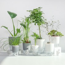 무어스튜디오 원형 자동급수 화분 저면관수화분, 그레이