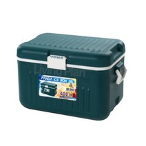 리빙플랜 아이스박스 팬더 대용량아이스박스 DO-36 40L, 그린