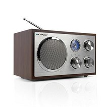 블라우풍트 주방욕실 라디오 RXN 19 아날로그 튜너, 나무 모양 FM 라디오