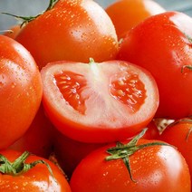 [GAP인증] 당일수확 완숙 토마토, 5kg 소과(개당중량 50~100g)