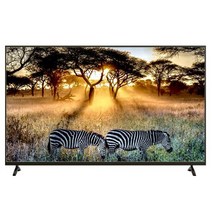 LG UHD OLEDevoTV 163cm 스탠드형OLED65C2SNC 바름