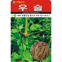 뼈에 좋은 우슬 씨앗(500립)(A0523)