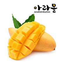 아라몰 필리핀 카라바오 망고 (Philippines Carabao Mango), 12개입, 2.4kg(200g) xx[선물포장]