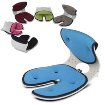 [오리백 의자] 프리미엄 바른 자세교정의자 척추 요추 허리 골반 디스크 체형 교정 브랜드K인증 / 골반 축은 정확하게 등은 자유롭게! 월수금화목토의자, 오리백 마그네틱형-스카이블루