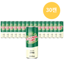 칵테일에 섞어먹는 캐나다드라이 진저에일 250ml [30개]