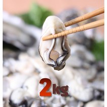 슬기로운 구매생활! 통영생굴