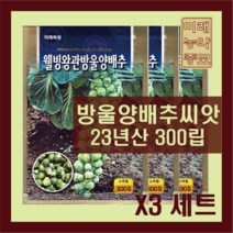 방울 양배추 씨앗 300립 ( X3개 )- 23년생산 미니 방울 양배추, 3개