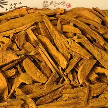 [문상영 버섯] 유기농 장수 상황버섯 알뜰 실속형, 1봉, 500g 실속 절편